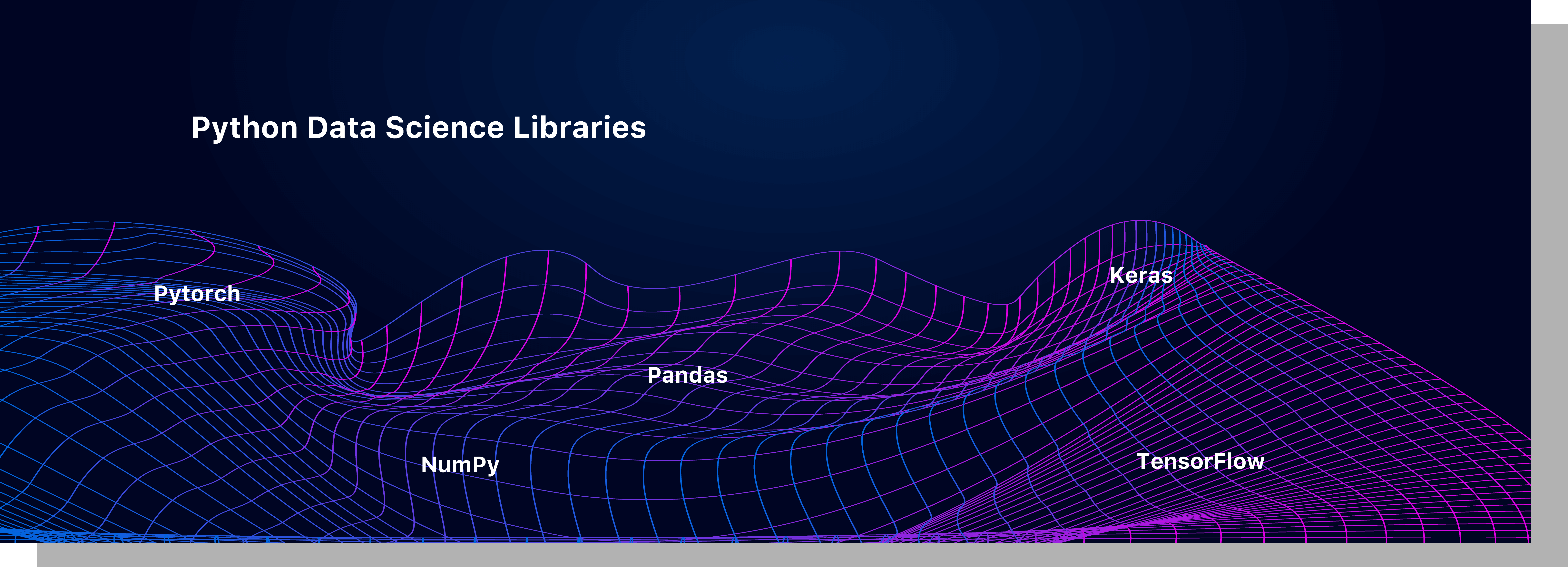 python data science libraries